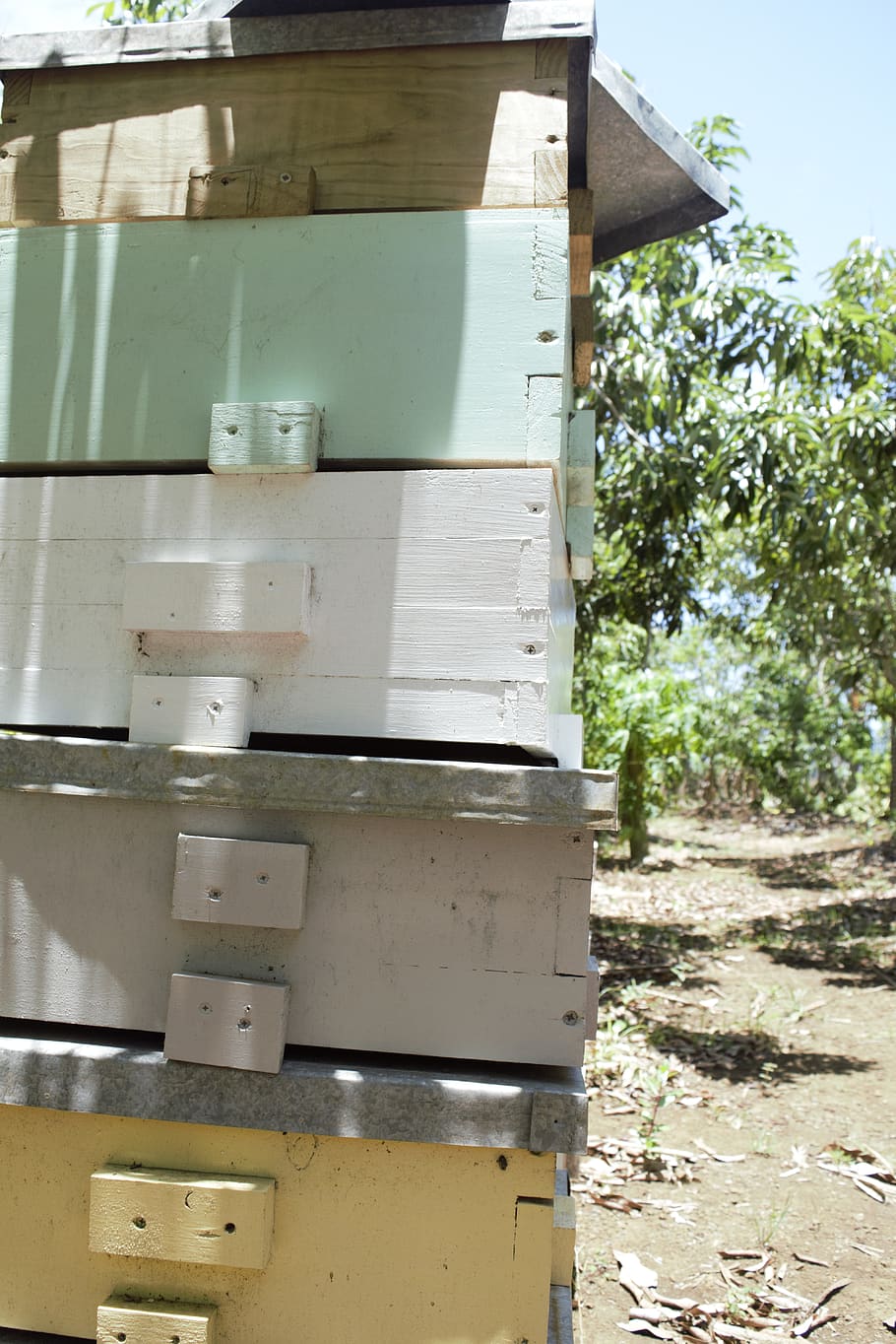 bees, wild, box, hives, honey, harvest, natural, production HD wallpaper