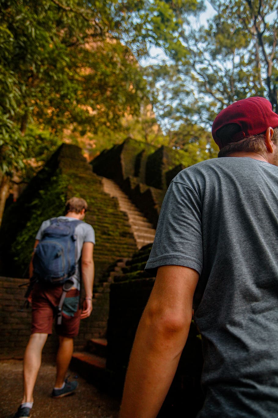 two men walking upward, rear view, casual clothing, real people HD wallpaper