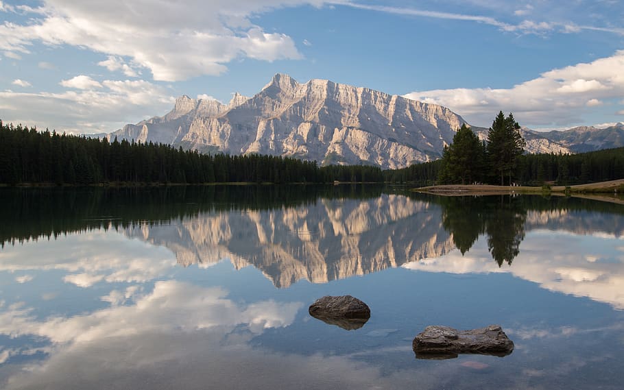 Two Jack Lake during daytime, nature, tree, plant, outdoors, water HD wallpaper