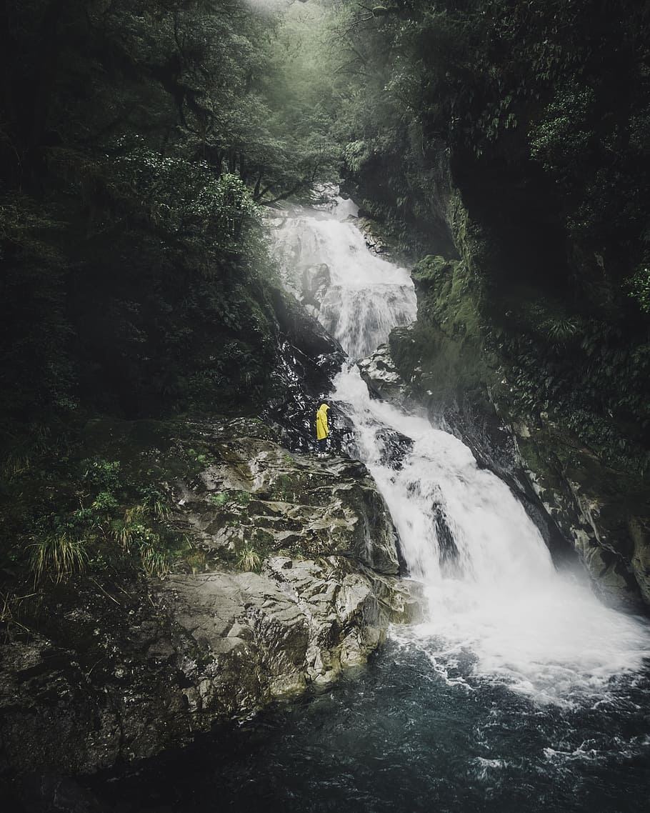 waterfalls, forest, jungle, rock, jacket, mist, person, standing HD wallpaper