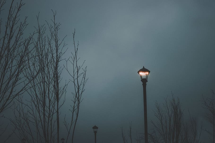 Lit Street Light during Nighttime, dawn, environment, landscape HD wallpaper