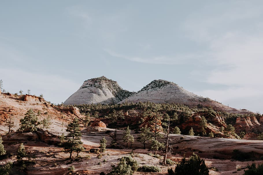 mountains and trees, outdoors, valley, nature, canyon, zion national park HD wallpaper