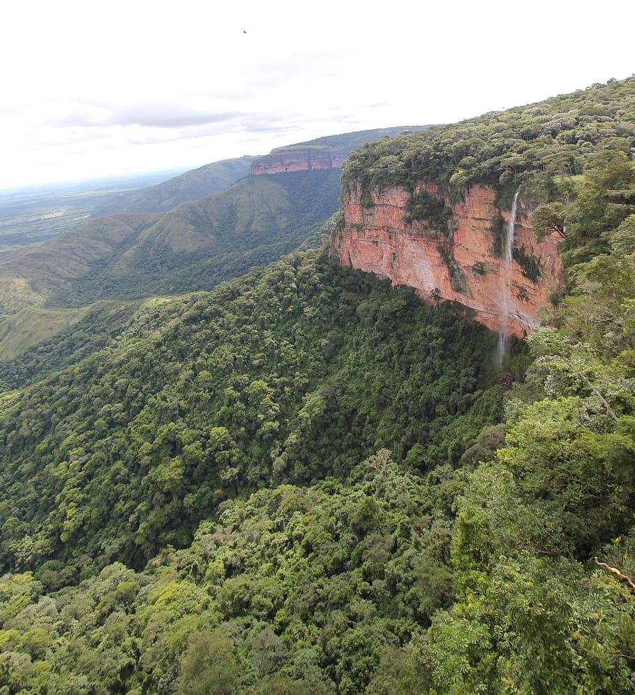 brazil, chapada dos guimarães national park, trees, mountains, HD wallpaper