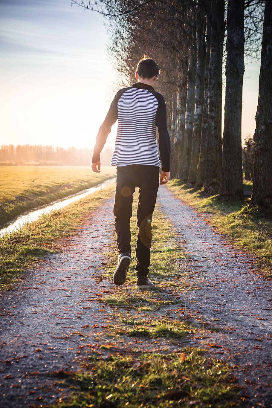 walk, forward, trees, path, sun, sunset, clouds, grass, leaves HD wallpaper