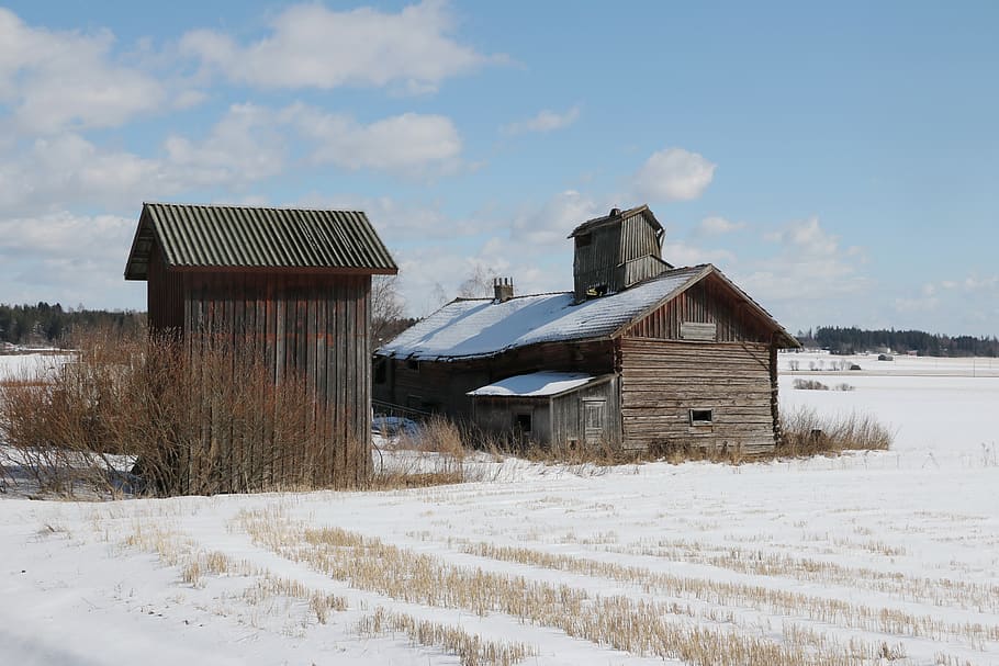 barn, winter, old building, snow, built structure, cold temperature HD wallpaper