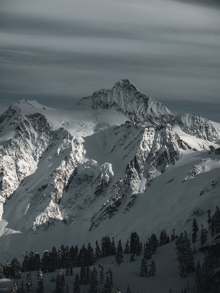 mountains and trees, cold temperature, beauty in nature, scenics - nature HD wallpaper