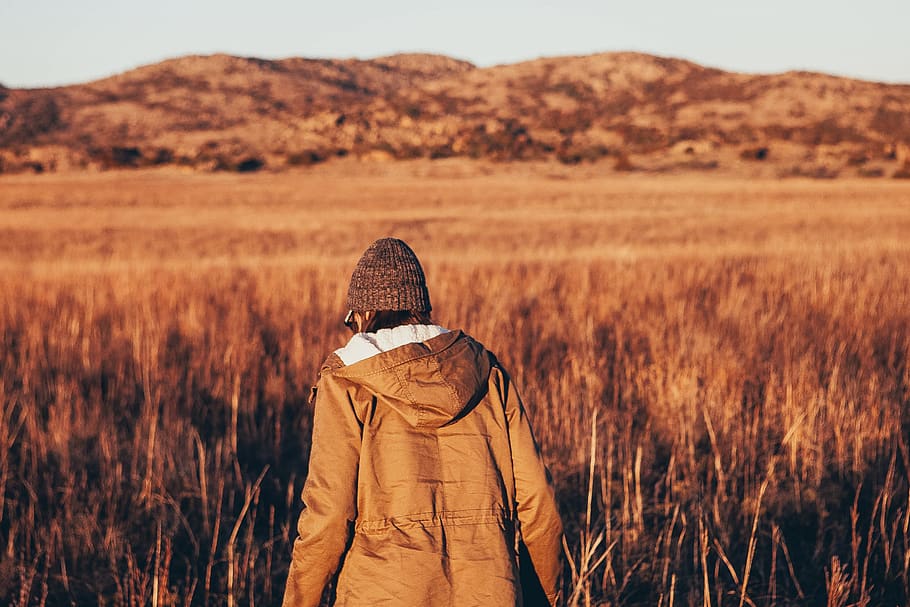 people, back, hoodie, jacket, beanie, walking, fitness, exercise HD wallpaper