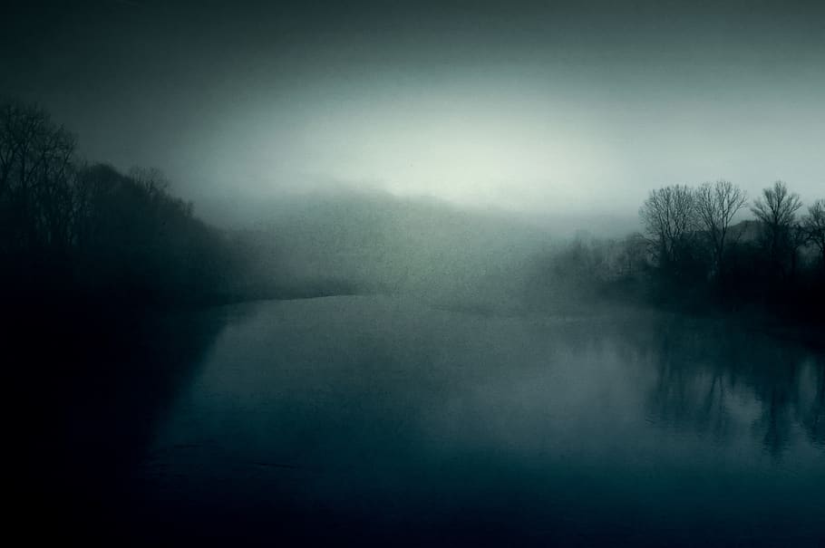 italy, castiglione torinese, po, river, fog, tree, tranquility