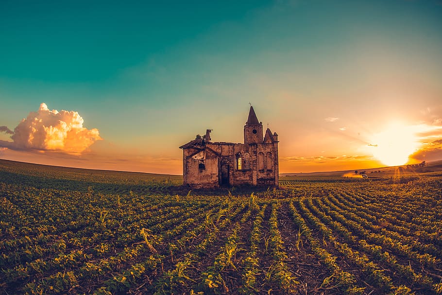 brown castle surrounded by plants, sky, field, architecture, land HD wallpaper