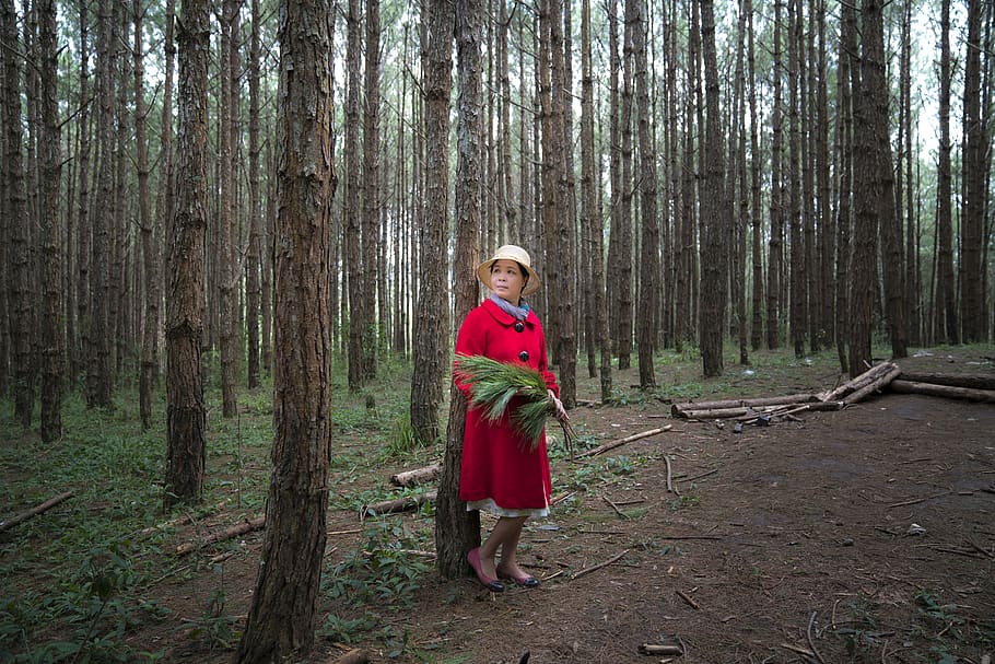 Woman In Red Coat In The Middle Of Woods, environment, forest HD wallpaper