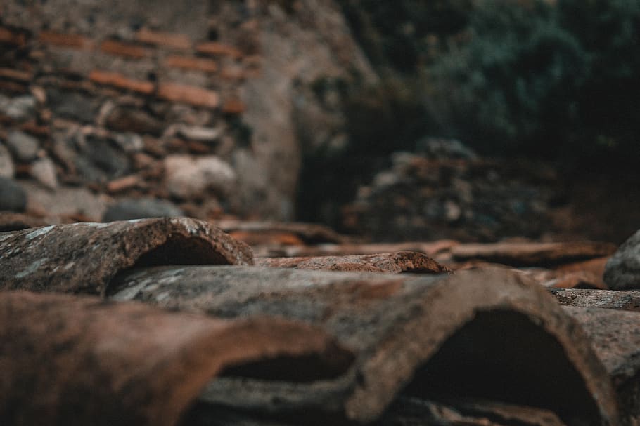 rust, lizard, animal, reptile, snake, rubble, slate, rock, chain HD wallpaper