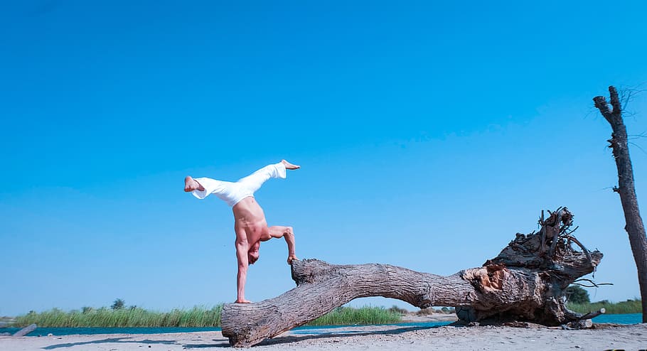 acrobatic, yoga, beach, tree, nature, sport, fitness, white HD wallpaper