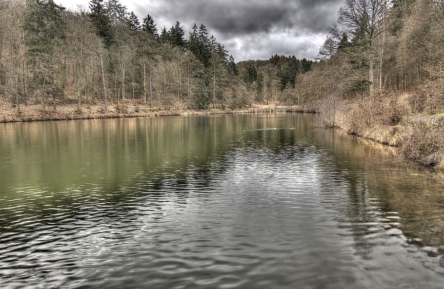 lake, forest, clouds, nature, trees, landscape, spring, water HD wallpaper