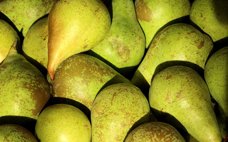 pears, fruit, food, vitamins, healthy, fresh, mature, eat, green HD wallpaper