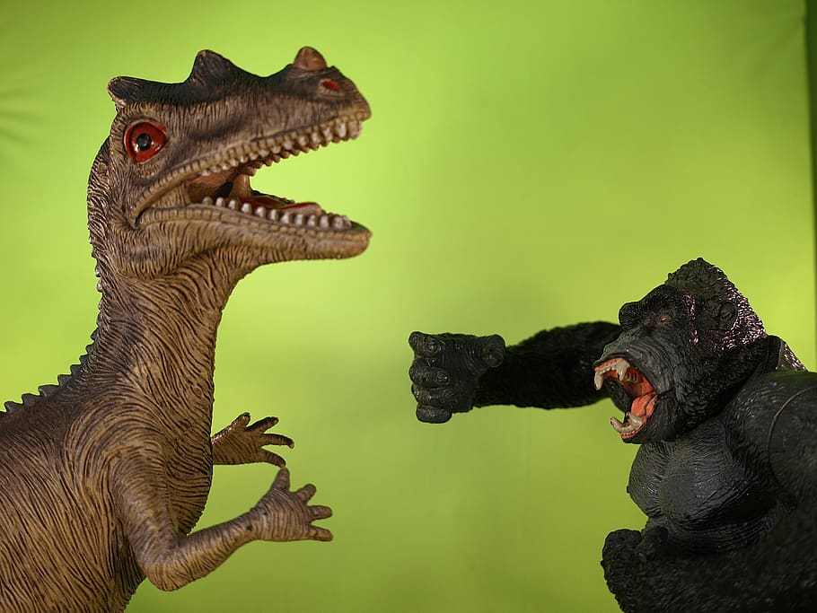 orangotango contra o dinossauro, orangutan against dinosaur, HD wallpaper