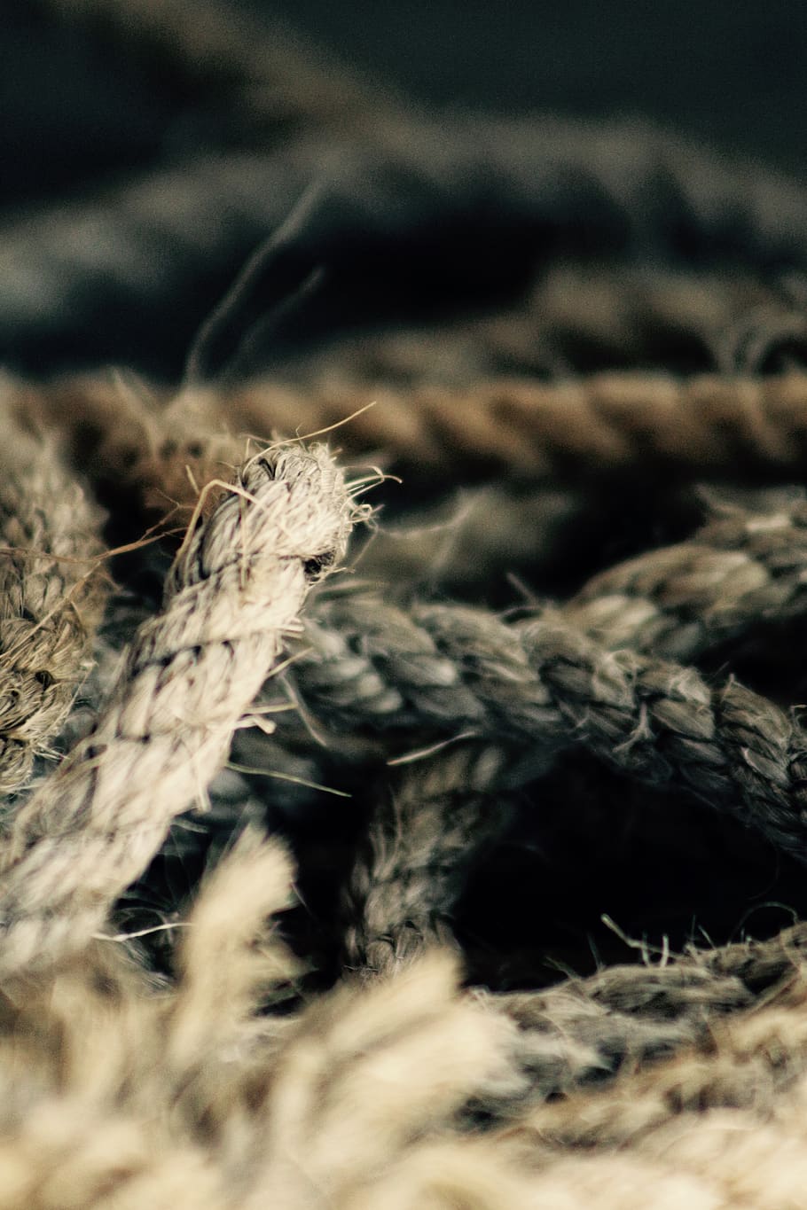 close, rope, close-up, selective focus, no people, nature, plant HD wallpaper