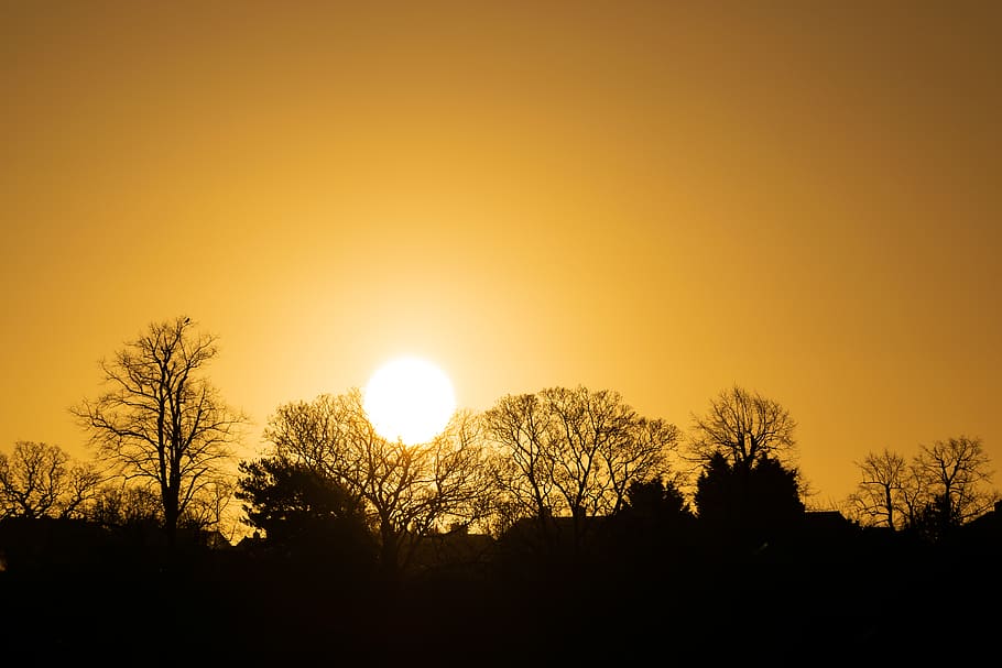 shadows, warm, winter, trees, sun rise, sunrise, sky, silhouette HD wallpaper