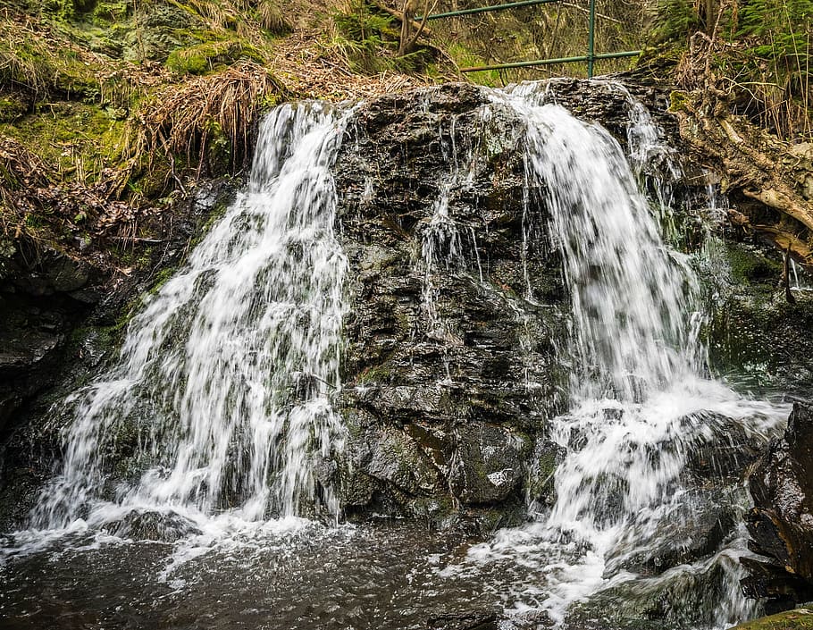 wild, water, fall, waterfall, nature, landscape, jungle, forest HD wallpaper