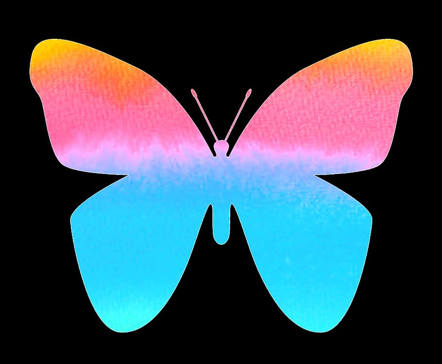 fly, butterfly, nature, graphics, black background, blue, no people HD wallpaper