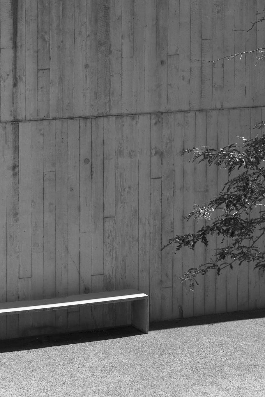 HD wallpaper: wall, minimal, minimalism, concrete, tree, garden, wall ...