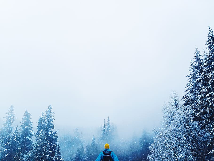 people, man, guy, back, alone, travel, trip, adventure, snow HD wallpaper