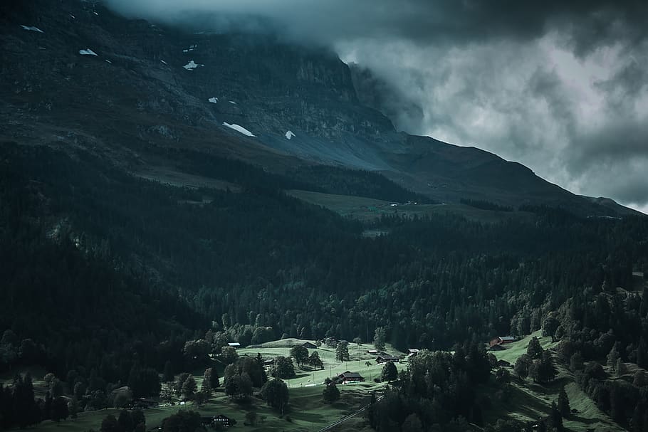 green mountain covered by gray clouds, nature, outdoors, tree HD wallpaper