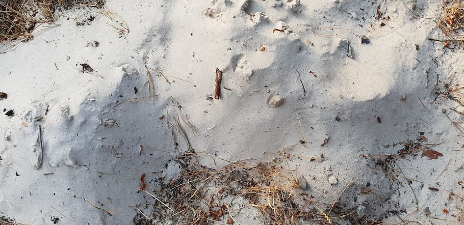white beach sand, twig, molehill, wall - building feature, full frame HD wallpaper