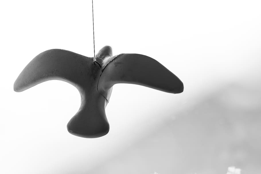 bird, fly, clay, string, no people, close-up, single object HD wallpaper