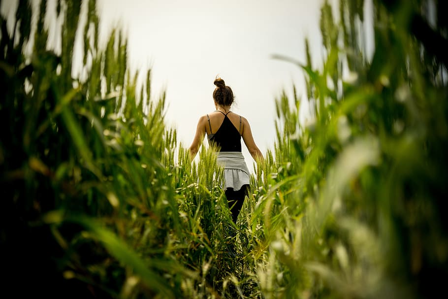 Girl Walking Through Field, Agriculture, back, commodity, crop HD wallpaper