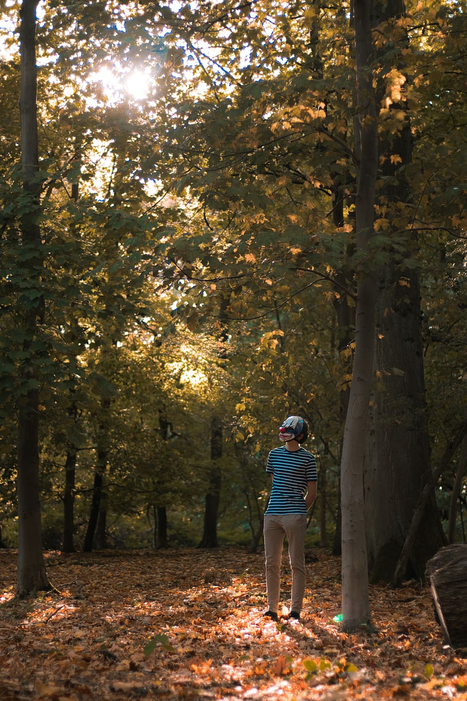 man standing beside tree, human, person, people, sint-pieters-woluwe HD wallpaper