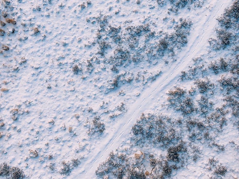road covered by snow, nature, outdoors, ice, winter, netherlands HD wallpaper