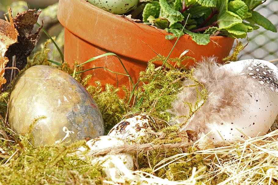 easter eggs, easter nest, easter decoration, easter theme, spring HD wallpaper