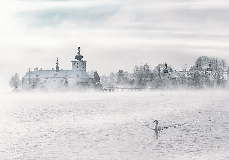 architecture, building, structure, establishment, fog, swan HD wallpaper