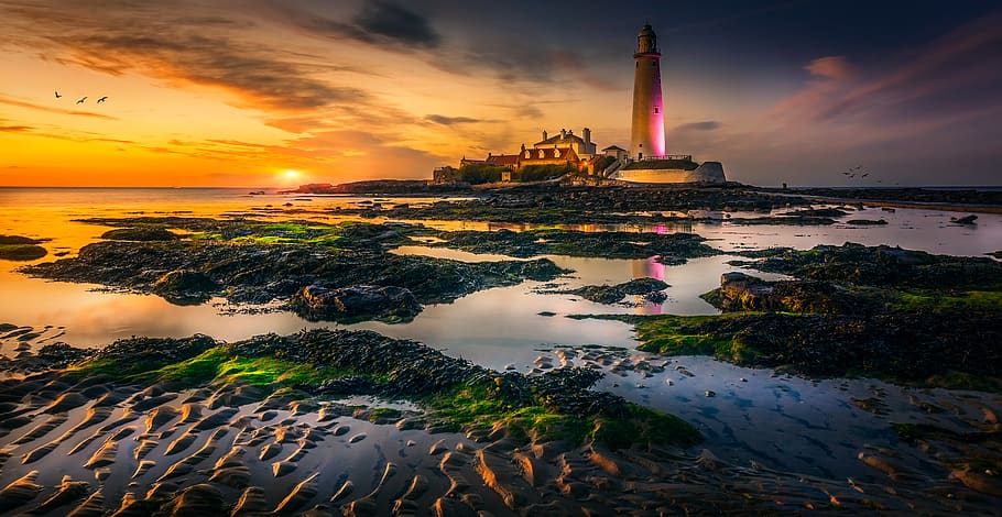 White Lighthouse, beach, clouds, dawn, evening, HD wallpaper HD wallpaper
