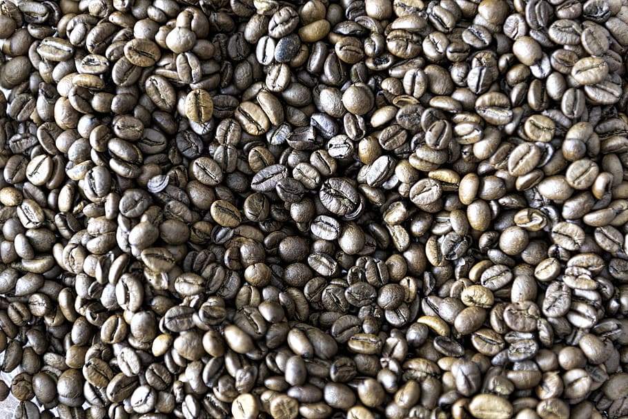 roasted coffee beans, java beans, rich flavour, rich aromatic, HD wallpaper