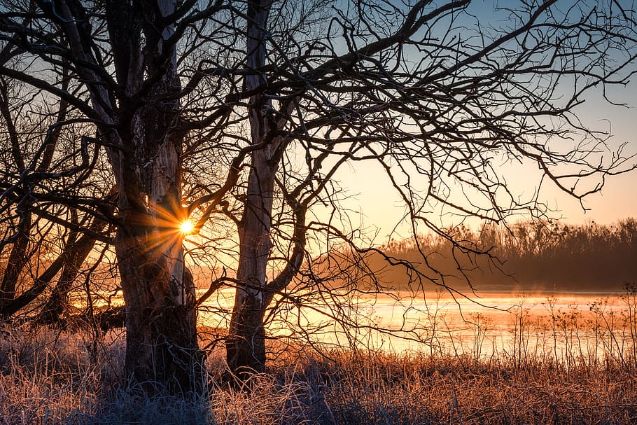 sunrise, river, elbe, water, landscape, mood, elbeland community HD wallpaper