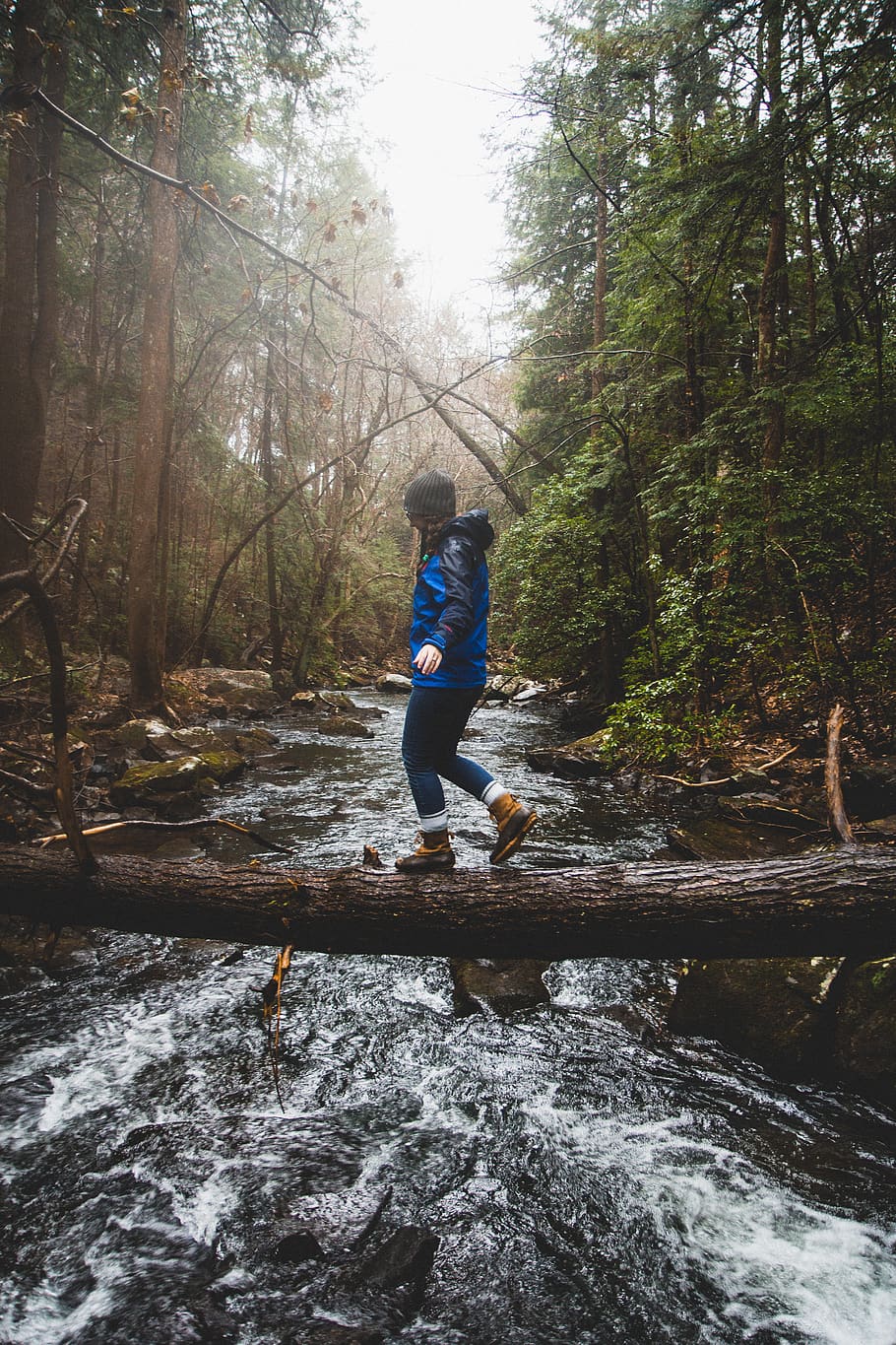man walking on brown tree trunk, water, clothing, shoe, apparel HD wallpaper
