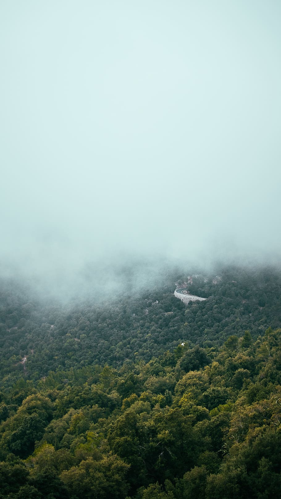 forest under clouds, spain, mallorca, road, mountain, tree, nature HD wallpaper