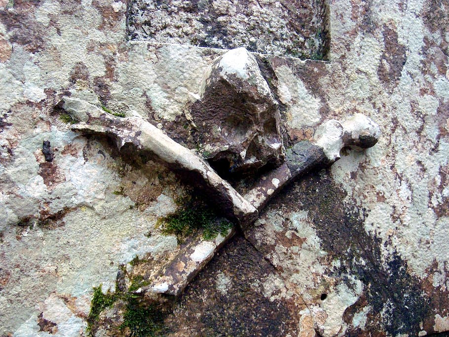 skull, detail, wall, no people, textured, day, close-up, full frame HD wallpaper