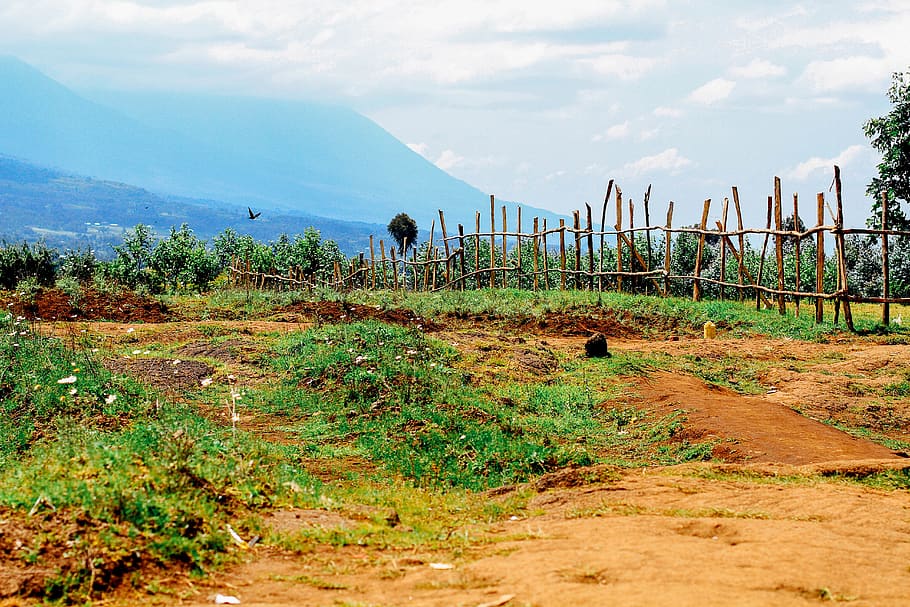 rwanda, kinigi, east africa, farm, sky, plant, cloud - sky, HD wallpaper