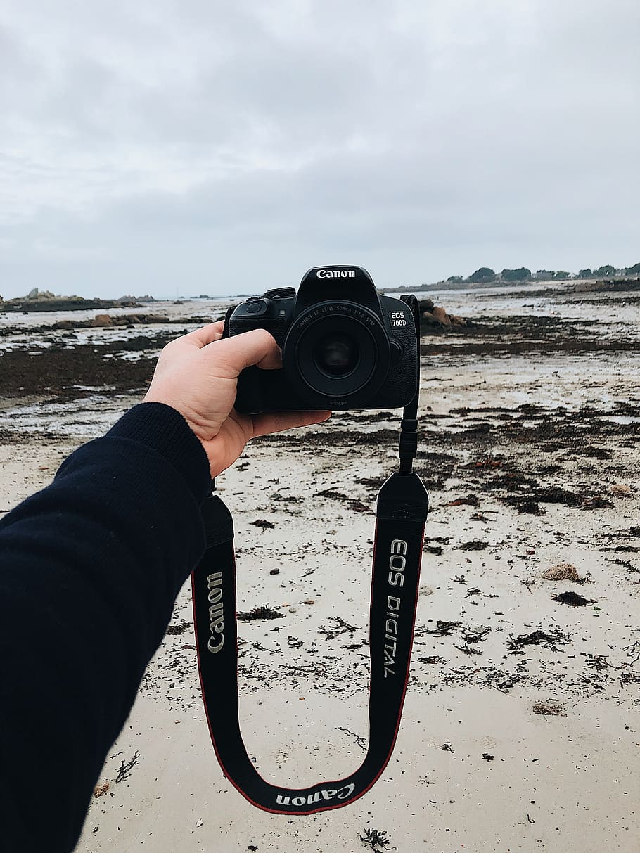 france, brignogan, ocean, cold, hand, seaweed, brittany, dark HD wallpaper