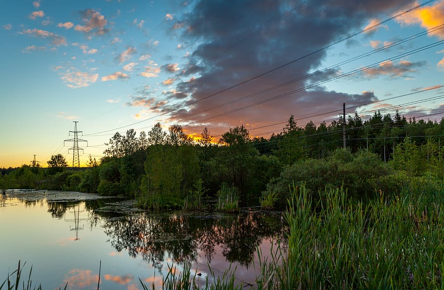Trees By The River, clouds, dawn, environment, grass, power lines HD wallpaper