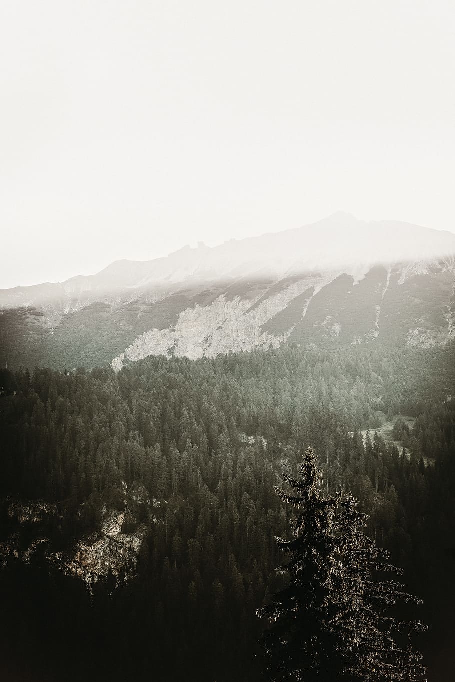 landscape photography of mountains covered with snow, hazy, nature HD wallpaper
