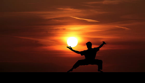 fu, kung, kungfu, master, silhouette, martial, china, mental HD wallpaper