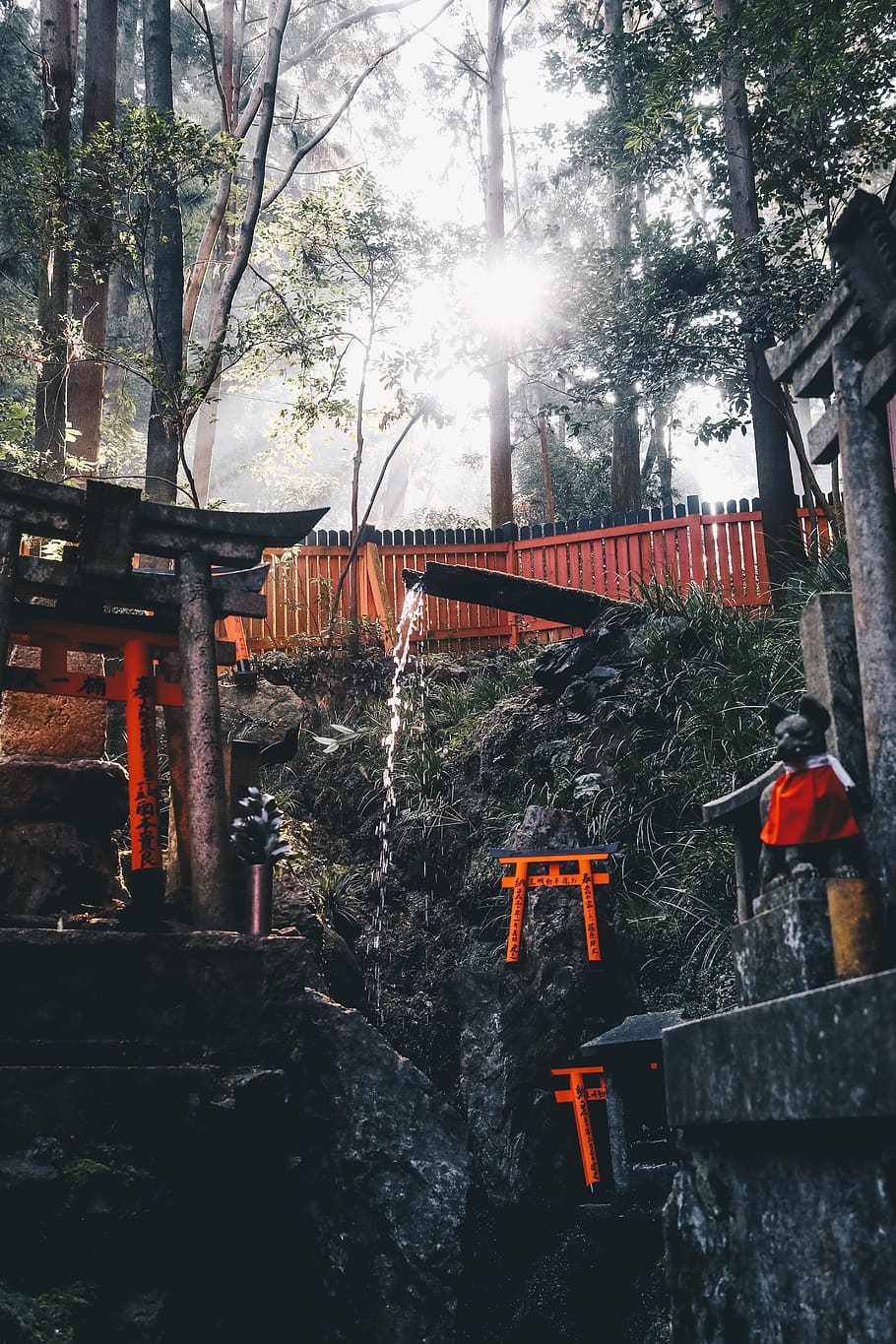 japan, kyōto-shi, fushimi inari taisha, light, morning, water