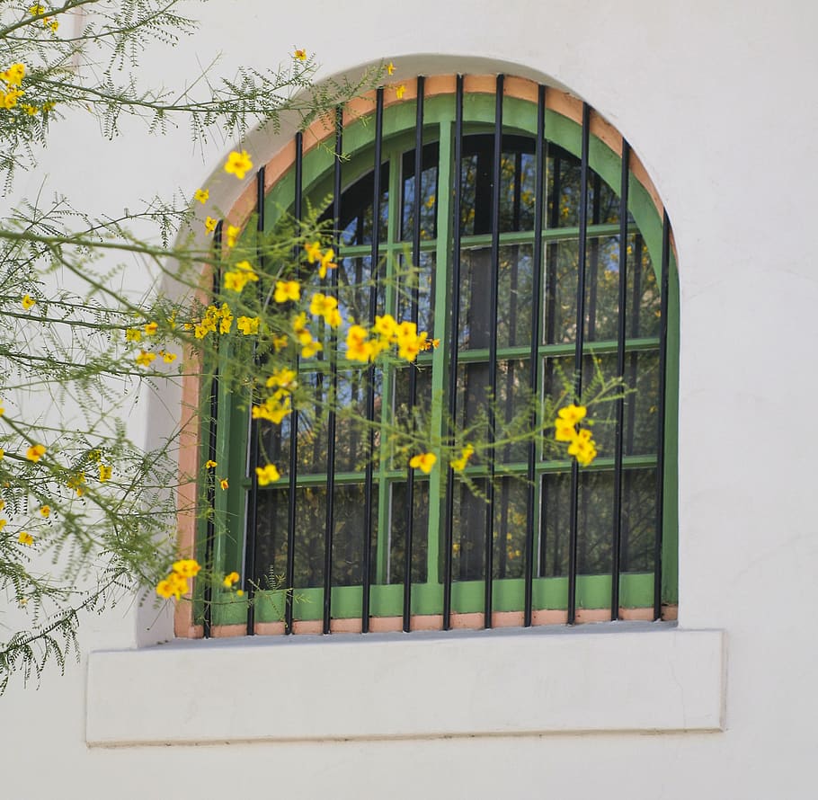 window, spring, blossoms, grate, building, urban, reflection HD wallpaper