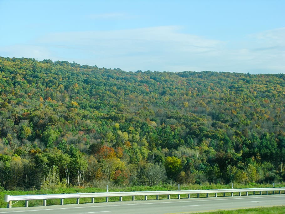 road, guard rail, mountains, trees, sky, plant, beauty in nature HD wallpaper