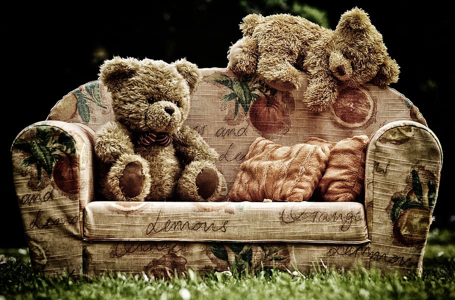 bear, sofa, bears, sweet, cute, plush, teddy, funny, cozy, chill out HD wallpaper
