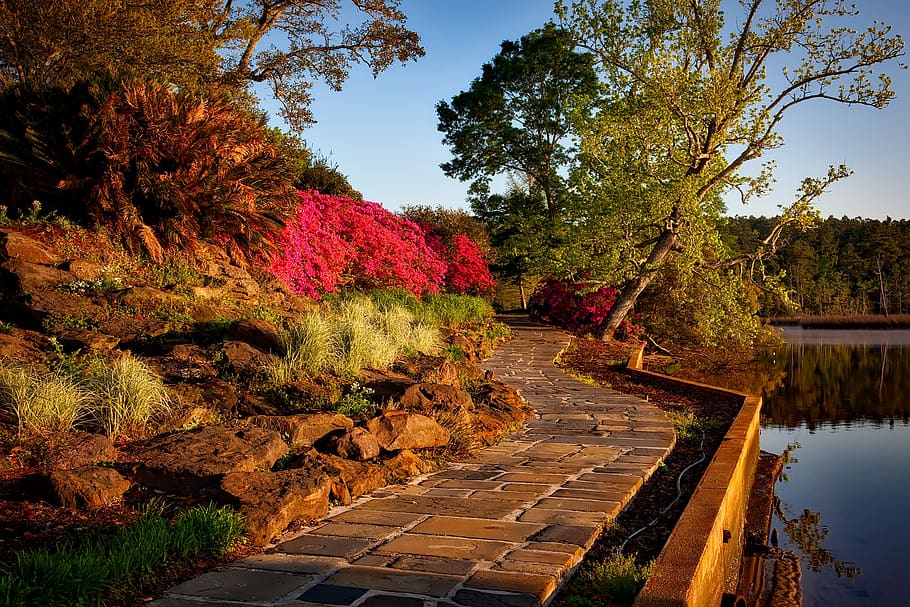 Empty Brown Pathway, bushes, flowers, park, picturesque, plants HD wallpaper
