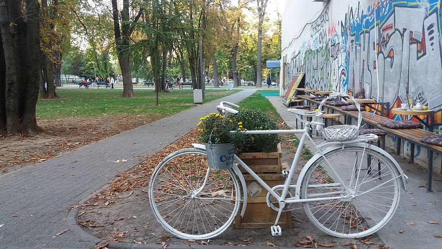 serbia, belgrade, bicycle, transportation, plant, tree, land vehicle HD wallpaper